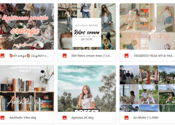 chia_se_preset_lightroom_mobile_antrandigital