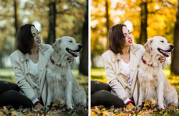 Preset camera raw photoshop free