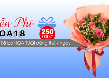 Chương trình nhận HOA MIỄN PHÍ cực kỳ đơn giản