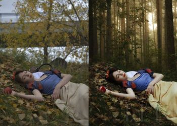 top-10-extensions-danh-cho-designers-antrandigital