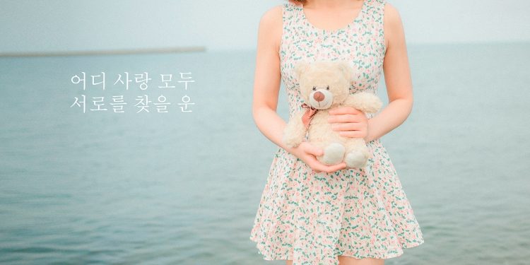 chia-se-preset-camera-raw-han-quoc-antrandigital