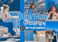 share-preset-lightroom-mobile-mau-xanh-hoa-binh-antrandigital