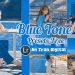 share-preset-lightroom-mobile-mau-xanh-hoa-binh-antrandigital