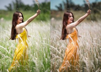 Tải preset lightroom mobile tone ngoại cảnh du lịch