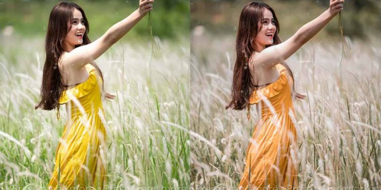 Tải preset lightroom mobile tone ngoại cảnh du lịch