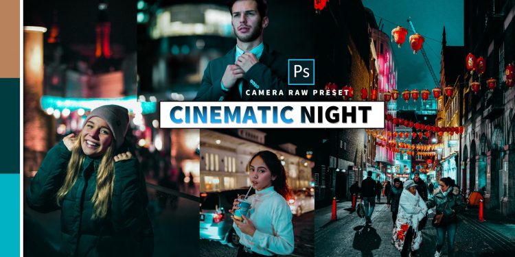 Download Cinematic Night Camera Raw Preset