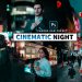 Download Cinematic Night Camera Raw Preset